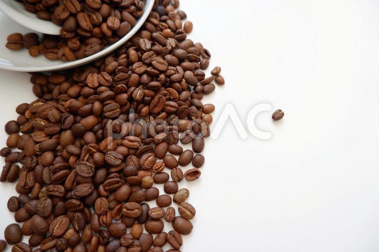 白い背景にカップからこぼれたコーヒー豆 コーヒー豆,コーヒー,粒の写真素材