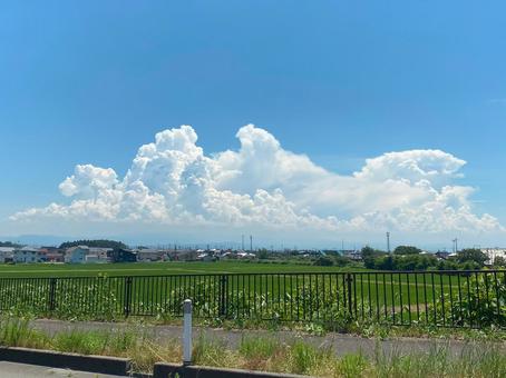 田舎の風景・田んぼと夏の空2 田舎の風景・田んぼと夏の空2 空,夏,田舎の写真素材