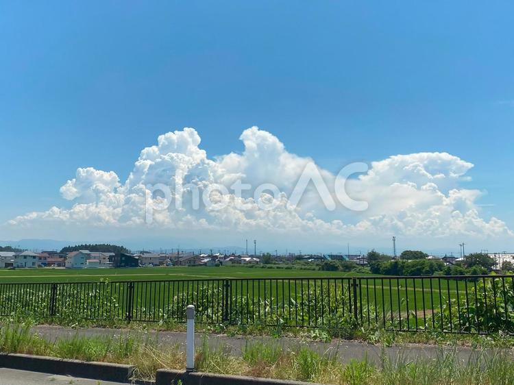 田舎の風景・田んぼと夏の空2 空,夏,田舎の写真素材