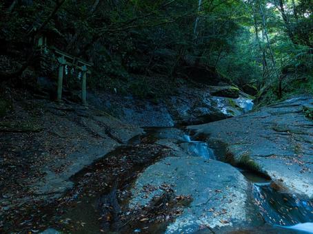 龍鎮神社 龍鎮神社,神社,鳥居の写真素材