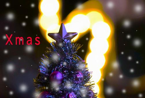 ツリー＆雪（英文字） クリスマス,ツリー,イルミネーションの写真素材