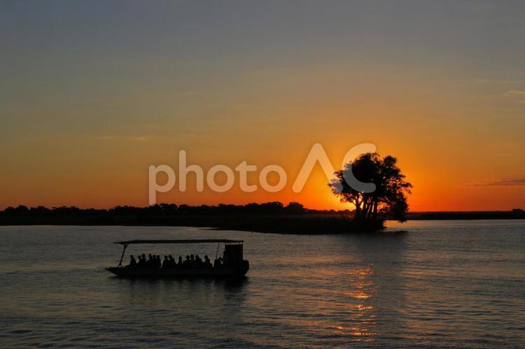 サファリの夕日 サファリ,サバンナ,夕日の写真素材
