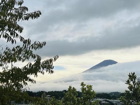 緑の木々越しに見る雲と富士山 山,富士山,頂上の写真素材