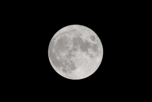 お月見イメージ。秋の夜に満月 お月見イメージ。秋の夜に満月の写真