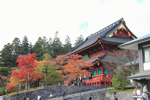 秋の日光 秋の日光 日光,日光東照宮,紅葉の写真素材