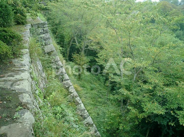 岡城の二の丸石垣 岡城の写真素材