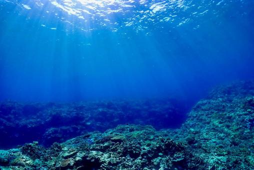 沖縄・西表島 青い海と珊瑚礁 沖縄・西表島 青い海と珊瑚礁の写真
