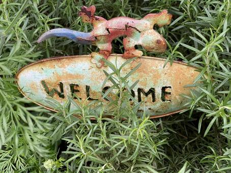 玄関にある花壇の中のWelcome 玄関にある花壇の中のWelcome 玄関,自然,壁紙の写真素材