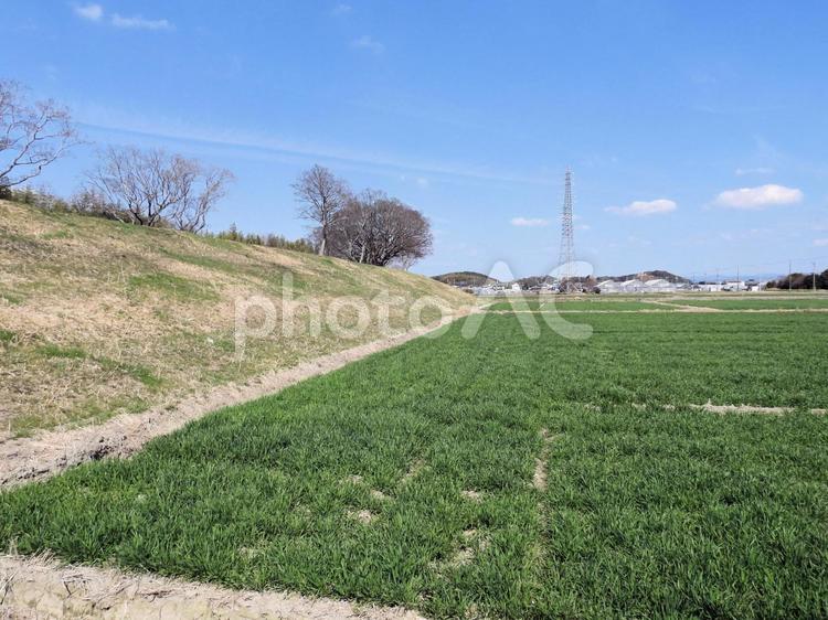 田舎の風景 田舎,あぜ道,土手の写真素材