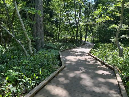 北海道函館市道南四季の杜公園 北海道函館市道南四季の杜公園 四季の杜公園,函館,函館市の写真素材