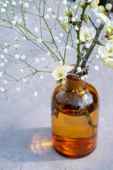 茶色い瓶の白梅とかすみ草 茶色い瓶の白梅とかすみ草 瓶,白梅,梅の写真素材
