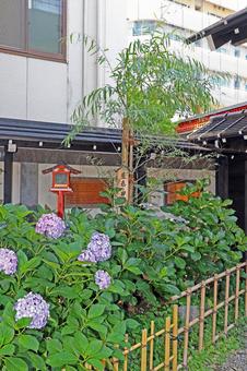 吉原神社(台東) 吉原神社(台東) 吉原神社,倉稲魂命,市杵嶋姫命の写真素材