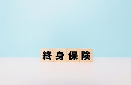 終身保険ブロック文字 終身保険ブロック文字 終身保険,死亡保険,生命保険の写真素材