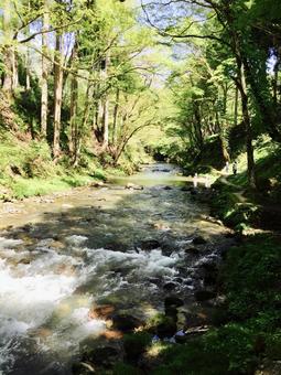 川の流れ 川,植物,自然の写真素材