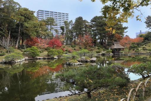 縮景園紅葉 広島県,広島市,名勝の写真素材
