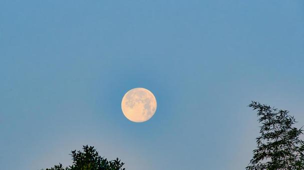 薄明の満月 満月,月,空の写真素材