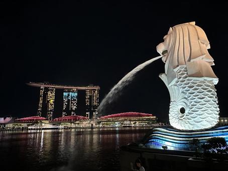 夜のマーライオン 夜のマーライオンの写真