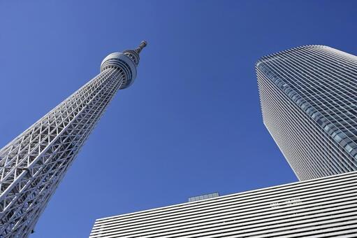 スカイツリーとビル 都市風景,近代的,近未来の写真素材
