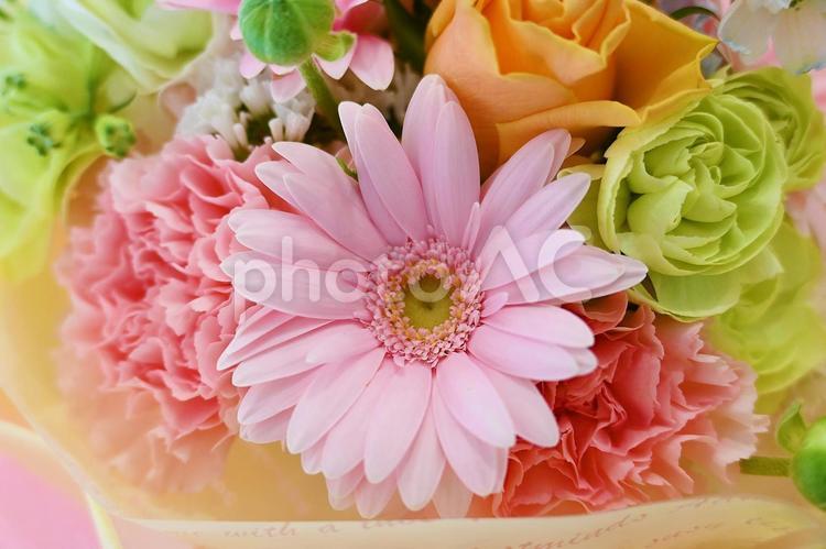 パステルブーケ　季節の花　アレンジ バラと季節の花,花束,パステルブーケの写真素材