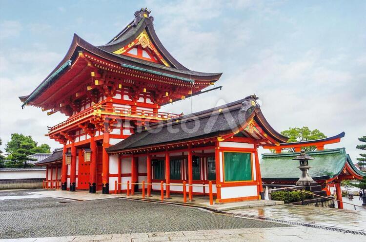 【京都府】伏見稲荷大社の境内 伏見稲荷大社,京都,神社の写真素材