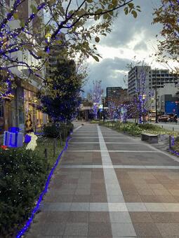 イルミネーション イルミネーション,キラキラ,キレイの写真素材