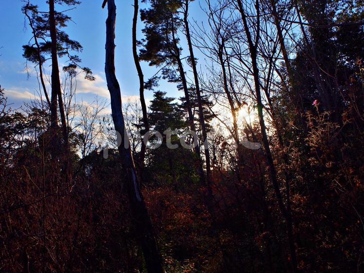 1月の里山 冬,1月,里山の写真素材
