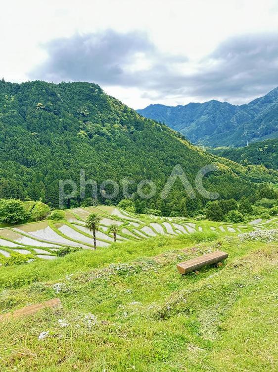 熊野　丸山千枚田 丸山千枚田,紀和町丸山地区,日本の棚田百選の写真素材