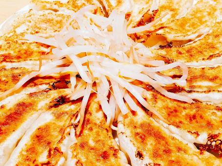 餃子 餃子の写真