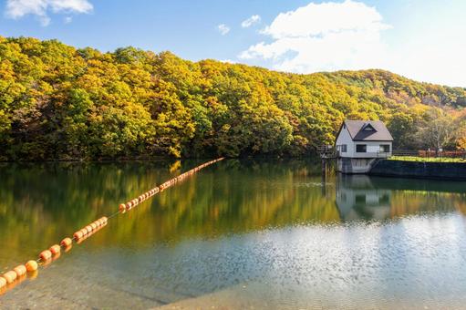 秋の長老湖⑾ 秋,紅葉,長老湖の写真素材