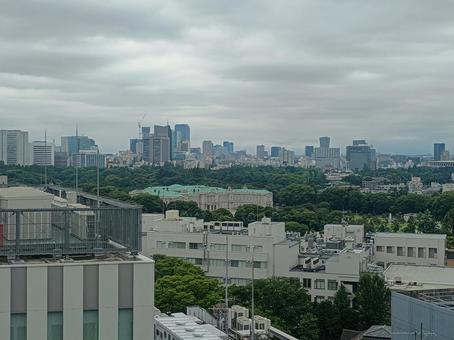 赤坂離宮遠景 赤坂離宮遠景の写真
