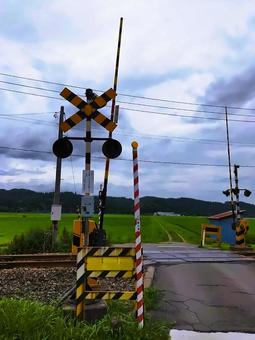 Local Line 8 in July 2025, JPG