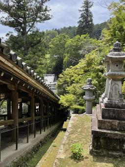 長谷寺・奈良・回廊 長谷寺・奈良・回廊 長谷寺,奈良,回廊の写真素材