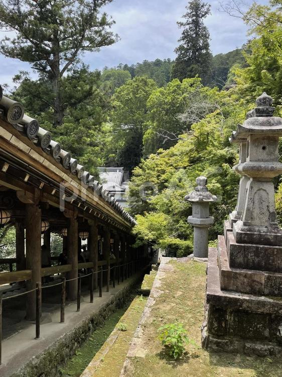 長谷寺・奈良・回廊 長谷寺,奈良,回廊の写真素材