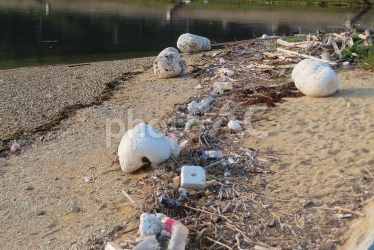 海岸に漂着した流木とゴミ 海,海岸,流木の写真素材