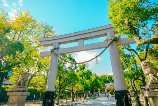 【兵庫】湊川神社 兵庫,神戸,湊川神社の写真素材