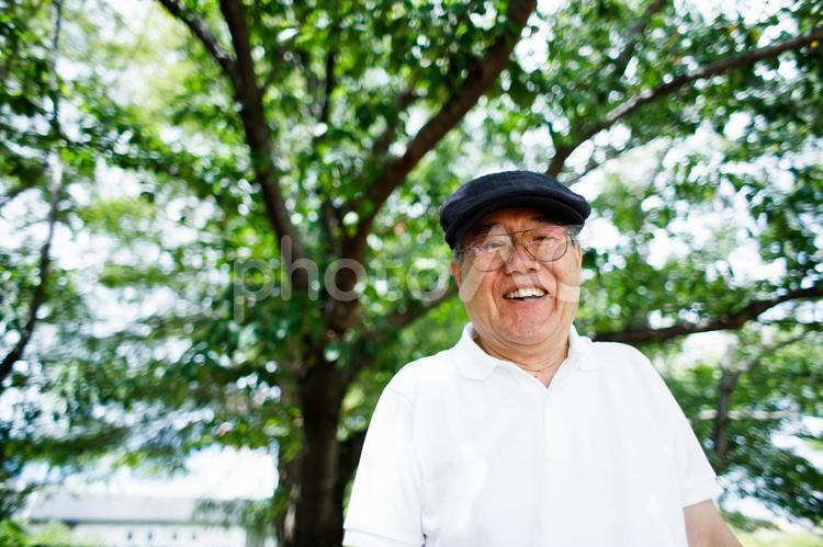 緑の中で微笑む男性 さわやか,白髪,帽子の写真素材