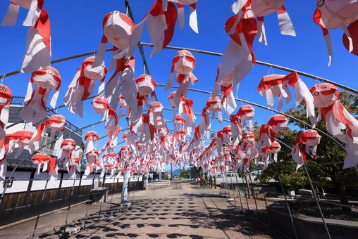 金魚ちょうちん祭り 金魚ちょうちん祭りの写真