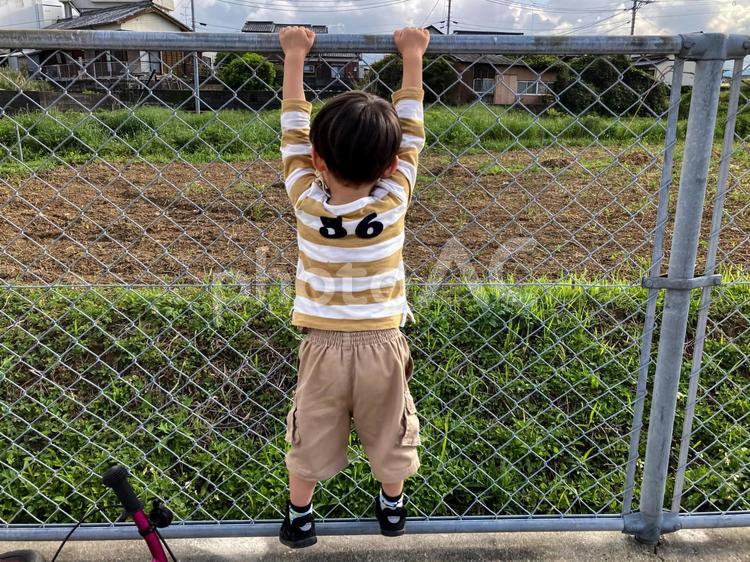 ＜素材＞公園のフェンスを上ろうとする少年 子供,男性,人物の写真素材