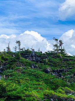 北八ヶ岳坪庭自然園散策周遊コース 北八ヶ岳坪庭自然園散策周遊コースの写真