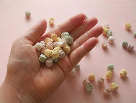 手のひら外国菓子 手のひら外国菓子の写真