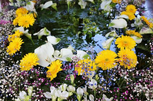 花手水 花手水の写真