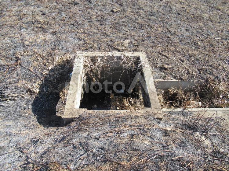 野焼き跡の残る畑の用水路囲い コンクリート,囲い,四角形の写真素材