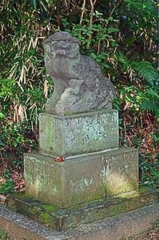 大麻止乃豆乃天神社(稲城) 大麻止乃豆乃天神社(稲城) 大麻止乃豆乃天神社,櫛真智命,旧郷社の写真素材