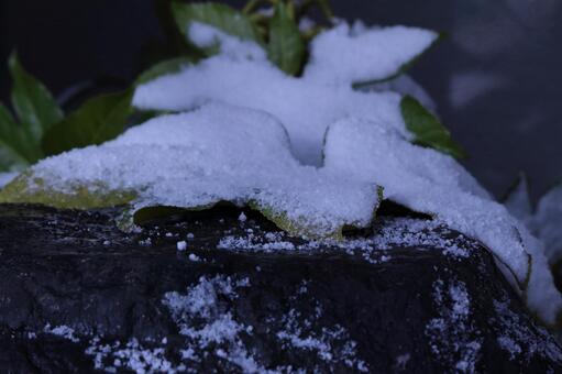 雪景色 雪景色の写真