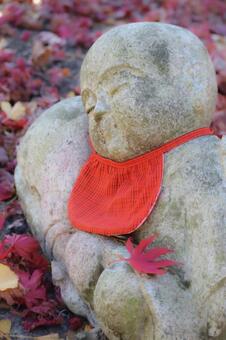 ありがたい寝顔 秋,紅葉,もみじの写真素材