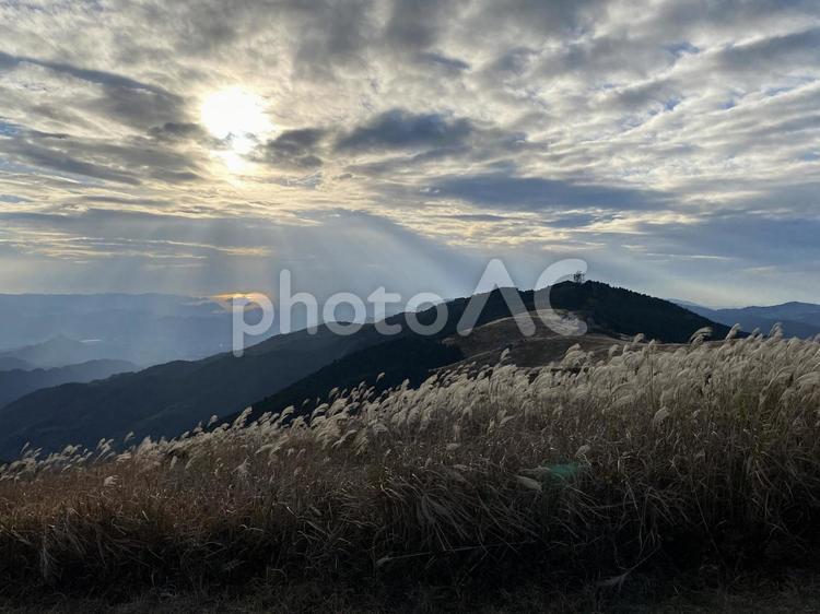 すすき　秋の風景４ すすき,山,草原の写真素材