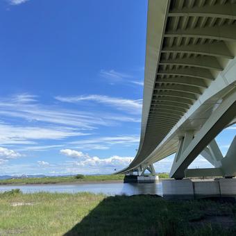 橋の下 風景,木,自然の写真素材
