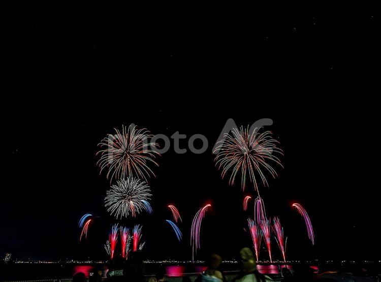 習志野花火大会（1日目） 習志野花火大会,花火,fireworksの写真素材