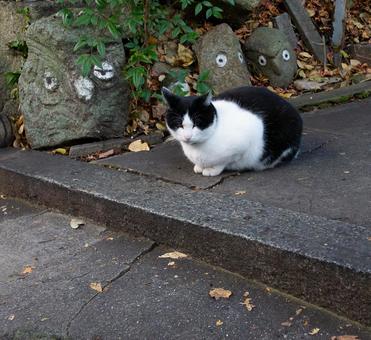 まちを見守るねこ まちを見守るねこの写真