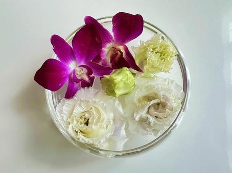 Photo, flower arrangement, bowl, display, 